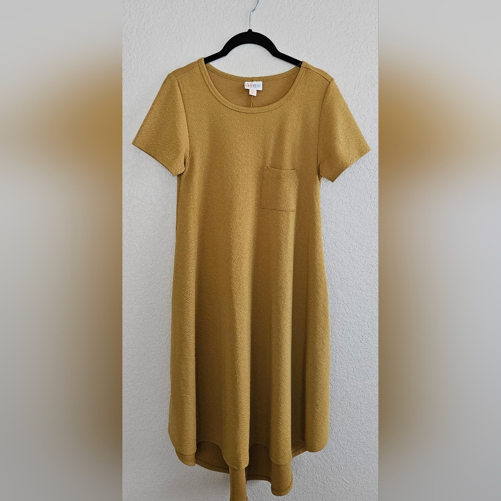 LuLaRoe Size XXS Carly dress